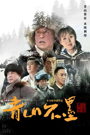 青山不墨海報
