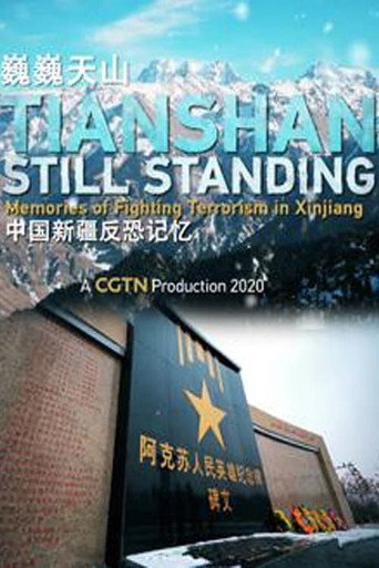 中國新疆反恐紀錄海報