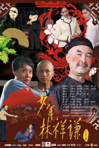 少年林祥謙海報
