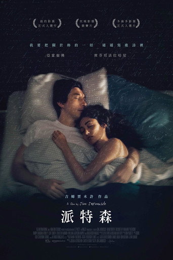 派特森海報