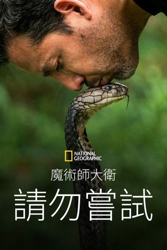 魔術師大衛:請勿嘗試海報
