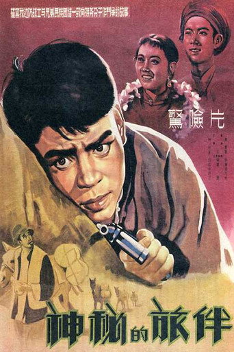 神秘的旅伴海報