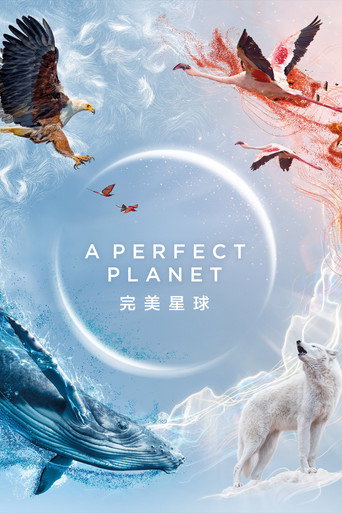 完美星球海報