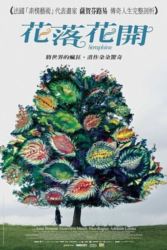 花落花開海報