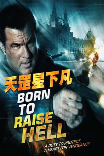 天罡星下凡海報