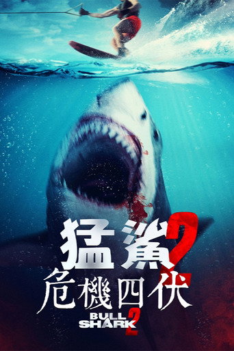 猛鯊2:危機四伏海報