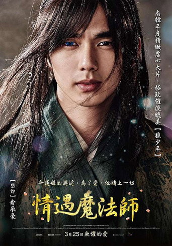 情遇魔法師海報