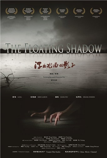 浮出水面的影子海報