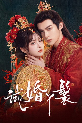 試婚丫鬟海報