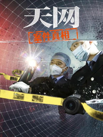 天網:罪案紀實 天網:案件真相海報