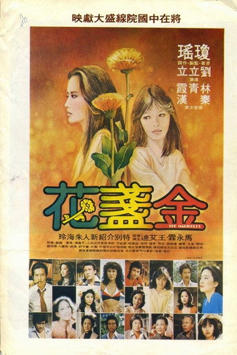 金盞花海報