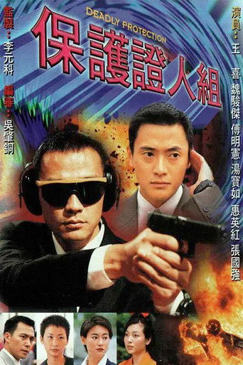 保護證人組海報