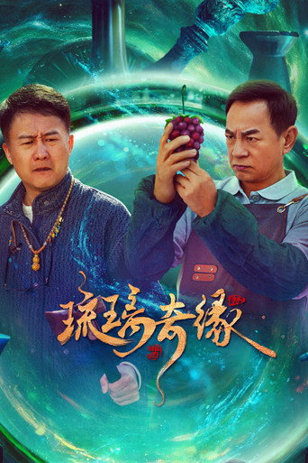 琉璃奇緣海報