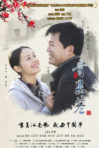 青果巷海報