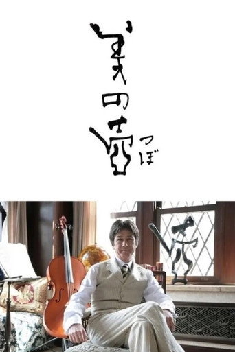 美之壺海報