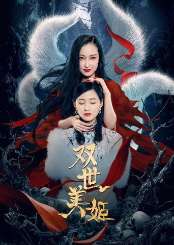 雙世美姬海報
