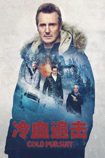 酷寒殺手海報