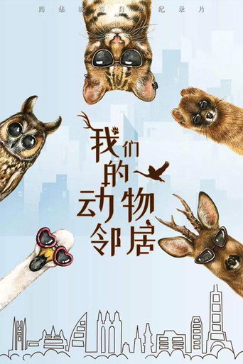 我們的動物鄰居海報
