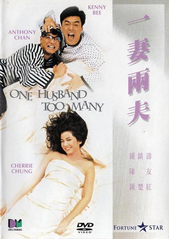 一妻兩夫海報
