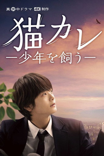 貓男友~我養了個少年海報