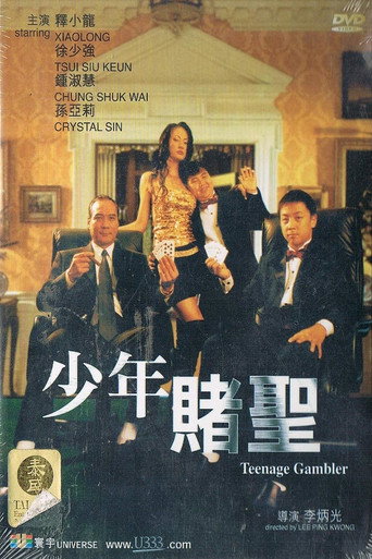 少年賭聖海報