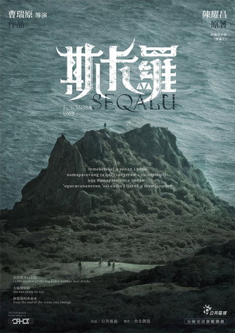 斯卡羅海報
