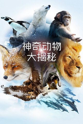 神奇動物大揭秘海報