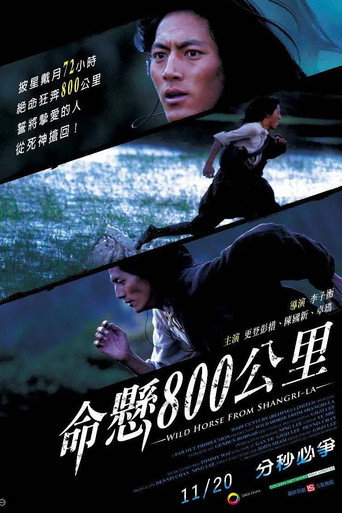 命懸800公里海報
