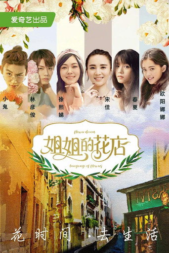 小姐姐的花店海報