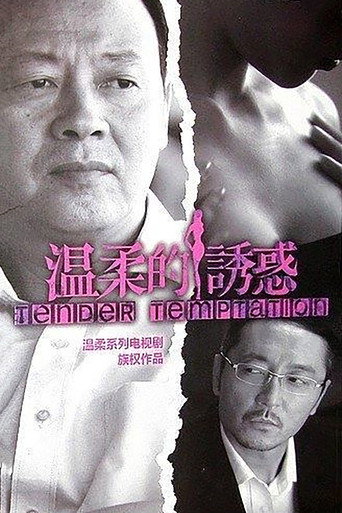 溫柔的誘惑海報