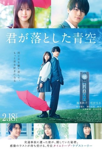 你遺落的藍天海報
