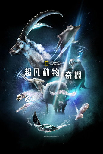 超凡動物奇觀海報