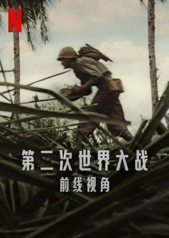 第二次世界大戰:前線視角海報