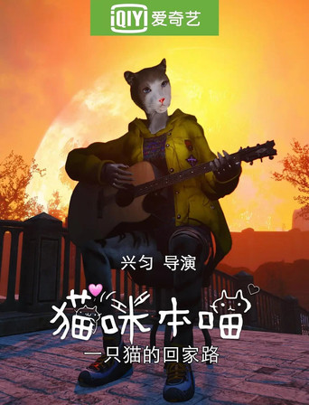 貓咪本喵海報