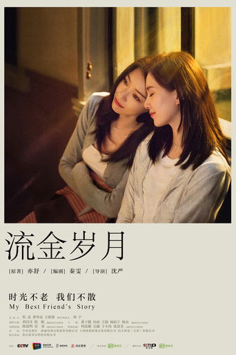流金歲月海報