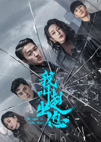 我叫趙出息海報