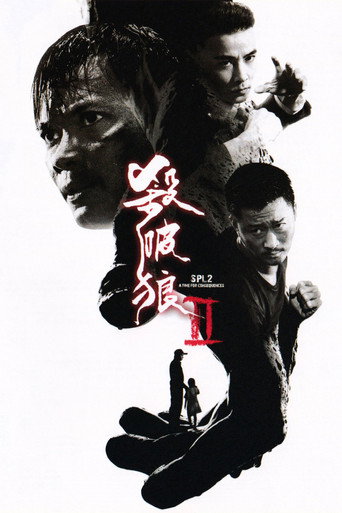殺破狼2海報