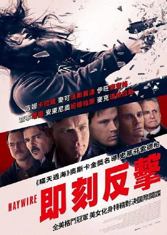 即刻反擊海報