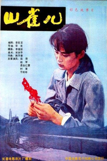 山雀兒海報