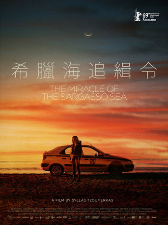 馬尾藻海的奇蹟海報