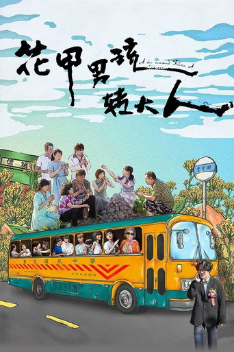 花甲男孩轉大人海報