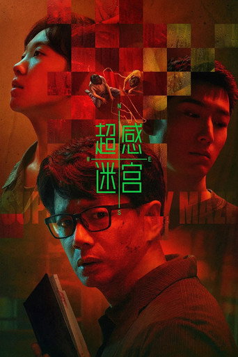 超感迷宮海報