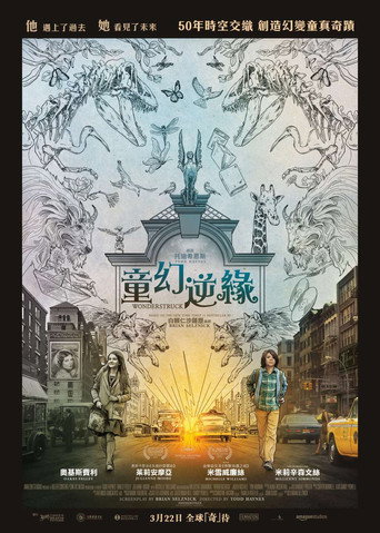 奇光下的秘密海報