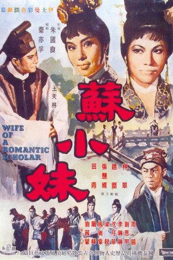 蘇小妹海報