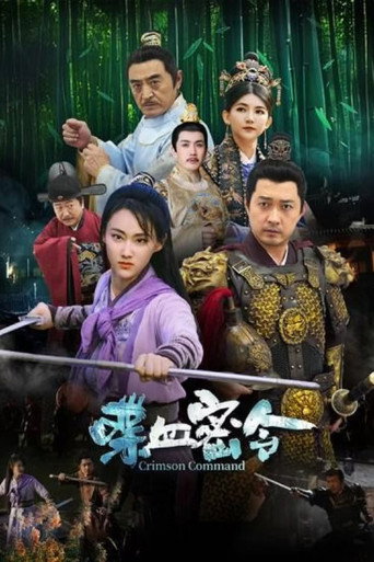 喋血密令海報
