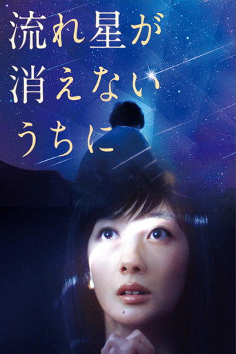 流星慢舞海報