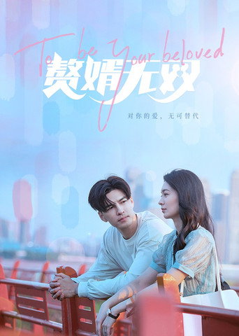 贅婿無雙海報