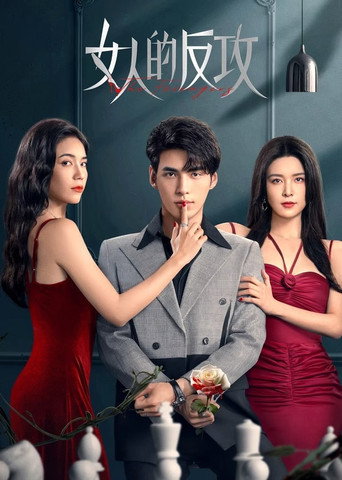 女人的反攻海報