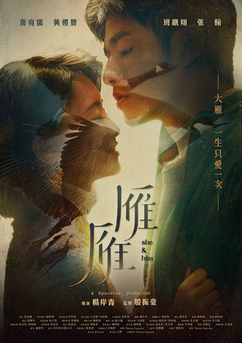 雁雁海報