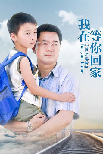 我在等你回家海報